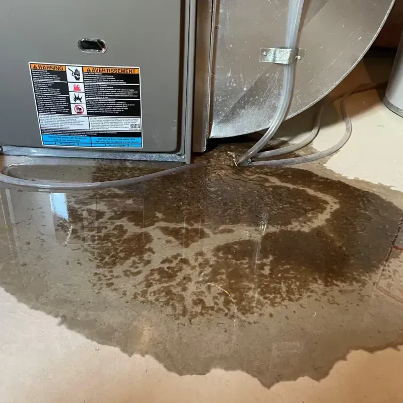 Appliance Leak Cleanup in Penndel, PA